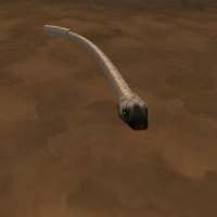 Slizer 3D Adventures