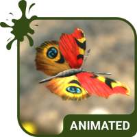 Butterfly Animated Keyboard   Live Wallpaper on 9Apps