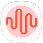 Hidden Auto Call Recorder icon