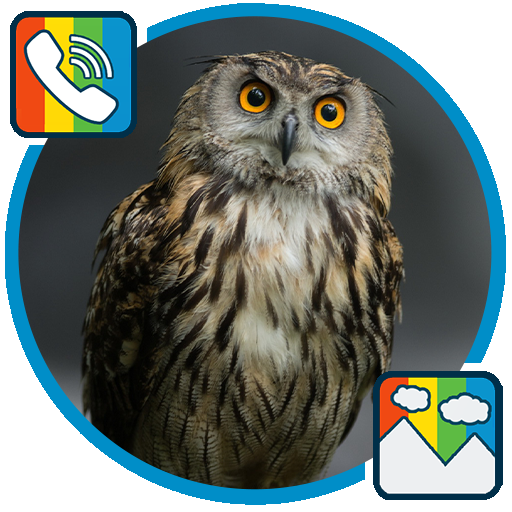 Owl - RINGTONES and WALLPAPERS icon