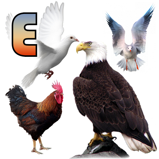 Birds name in English icon