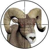 Sniper Hunting - 3D Shooter icon