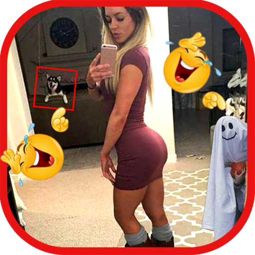 Funny Videos Top 2020 icon