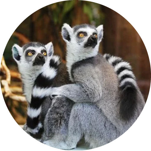 Cómo Identificar Animales icon