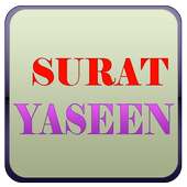 Surat Yaseen on 9Apps