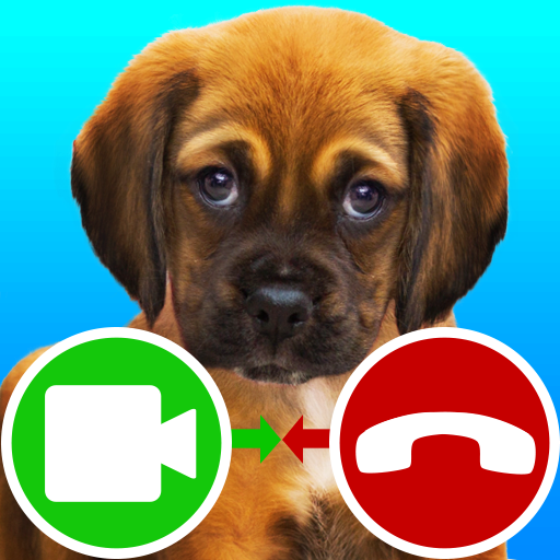 fake call video puppy game icon