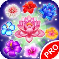 Flowers Blast 2023 on 9Apps