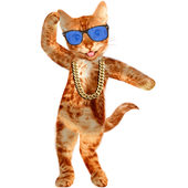 Dancing Talking Cat icon