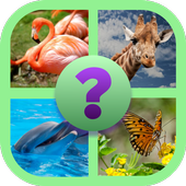 Reveal The Animal Quiz icon