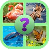 Reveal The Animal Quiz