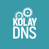 Dns Changer icon
