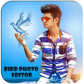 Bird Photo Editor