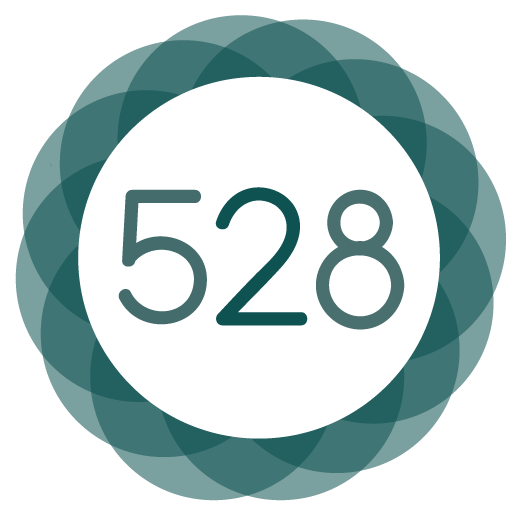 528 Player - Lossless 528hz Audio Music Player icon