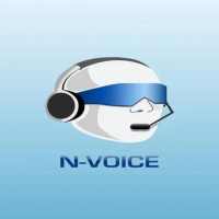 N-VOICE