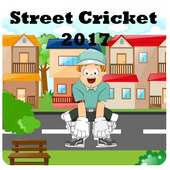 Street Cricket Game 2017