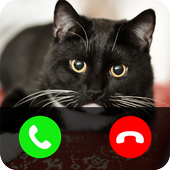 Fake call from cat icon