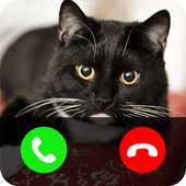 Fake call from cat on 9Apps