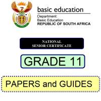 2021 Grade 11 Question Papers