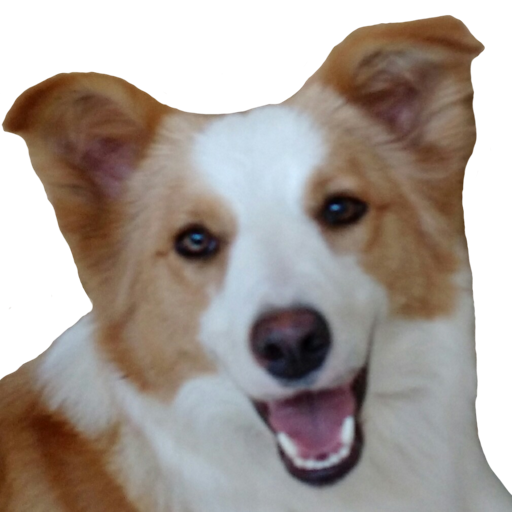 Rocket Maia иконка