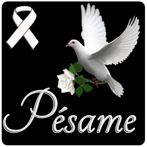 Mi mas Sentido Pesame icon