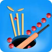 Color Cricket.IO- Hole 3D
