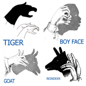 Hand Shadow Ideas icon