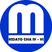 Kidato cha 4 na 6 icon