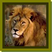 Lion Sounds icon