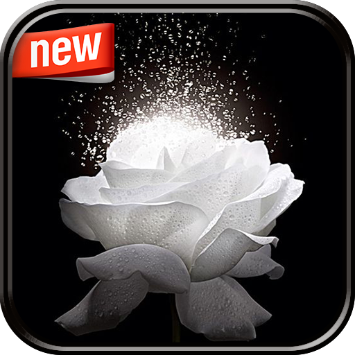 Rose Photo Frame icon