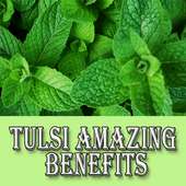 Tulsi Amazing Health and Beauty Benefits on 9Apps