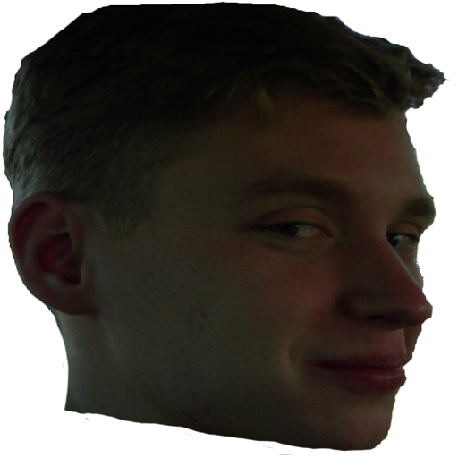 Bouncing Brandon icon