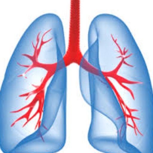 Breaths &amp; Lung Sounds icon