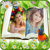 Dual Books photo frames icon