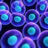 Organization of cells on 9Apps