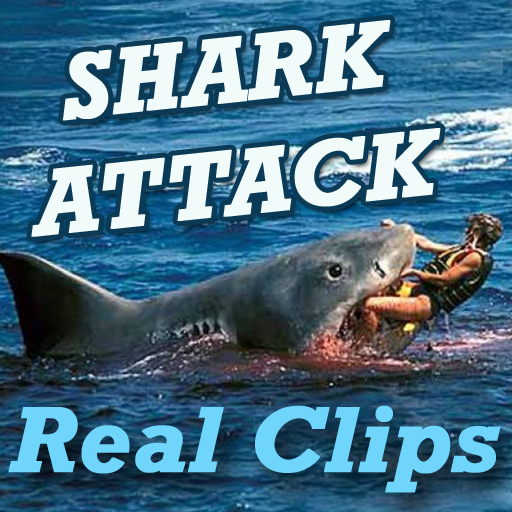 SHARK Attack Videos - Live Real Time Funny Clips icon