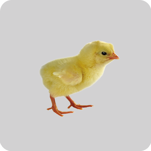 Broiler Farm Management icon