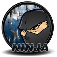Ninja Run 3D