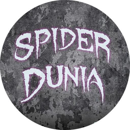Spider Dunia icon