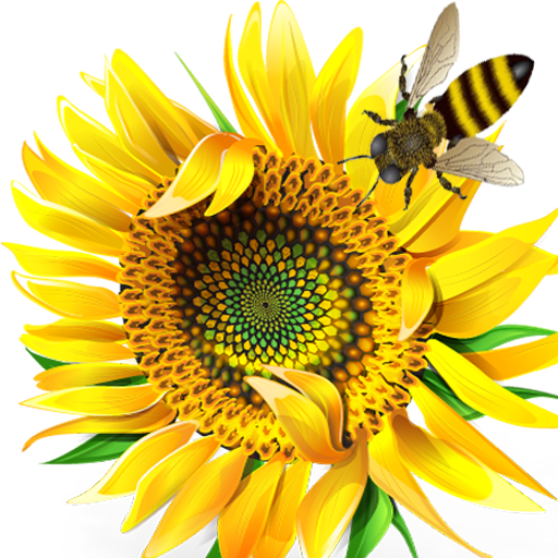 ikon Biological classification