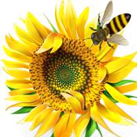 Biological classification on 9Apps