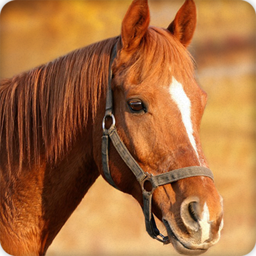Horse Sounds Ringtone icon
