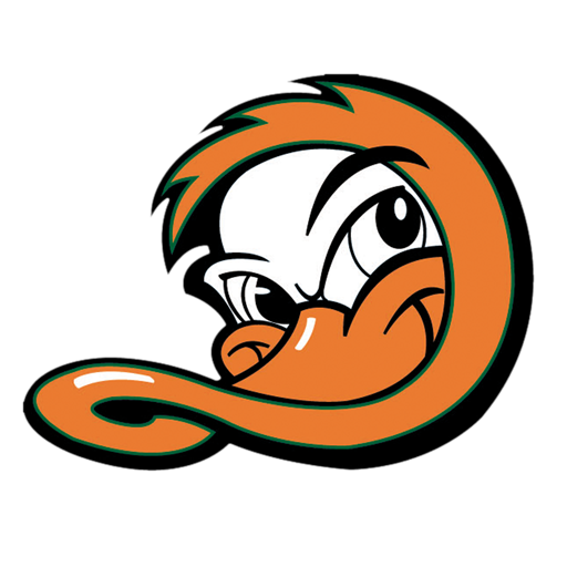 Long Island Ducks icon