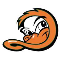 Long Island Ducks