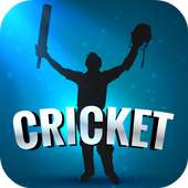 Cricket 2015