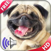 Animal Sounds for Kids icon