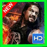Roman Reigns All Fight Videos