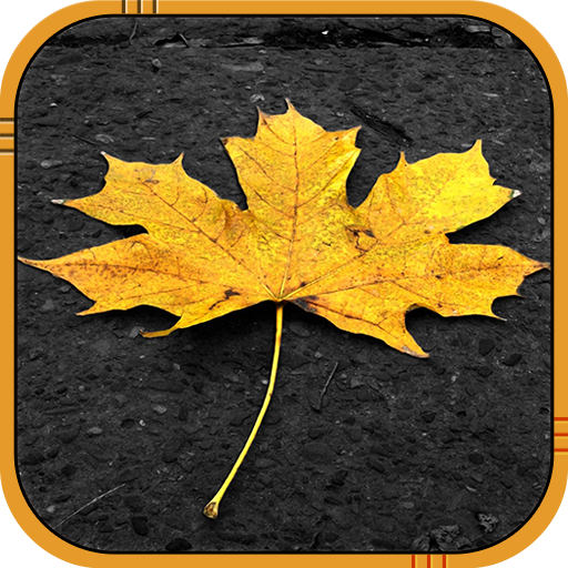 Autumn Live Wallpaper иконка