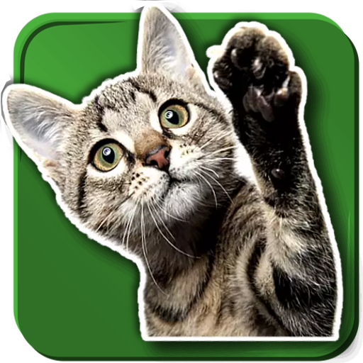 WAStickerApps Cats icon