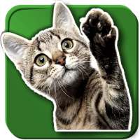WAStickerApps Cats on 9Apps
