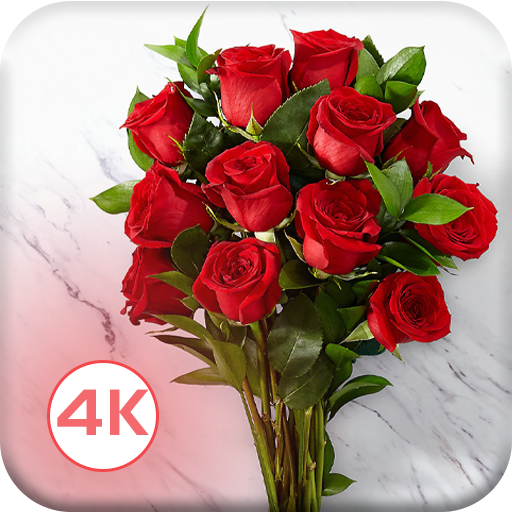 HD Rose Flowers Live Wallpaper icon